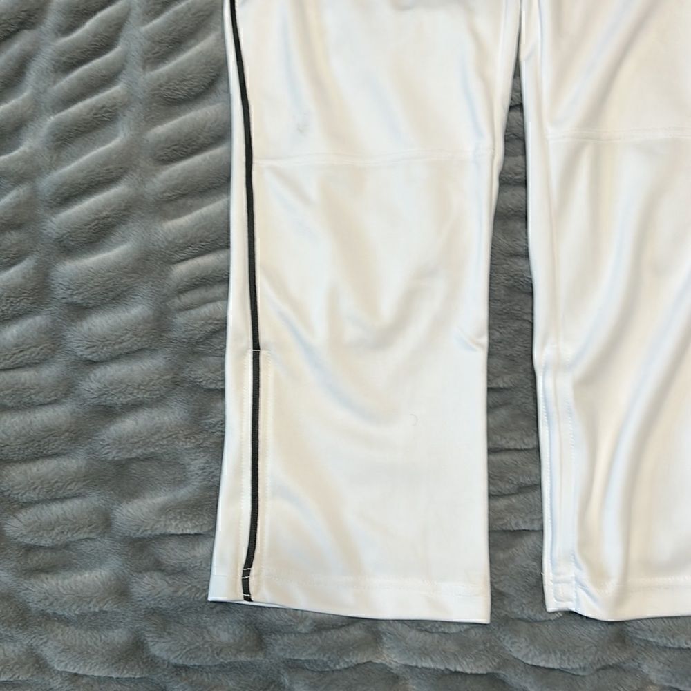 ChampPro Baseball Pants - Picture 2 of 9